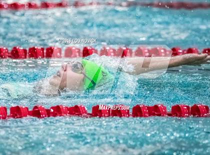 Thumbnail 1 in Albuquerque Academy Swim Meet  photogallery.