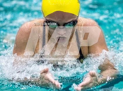 Thumbnail 1 in Albuquerque Academy Swim Meet  photogallery.