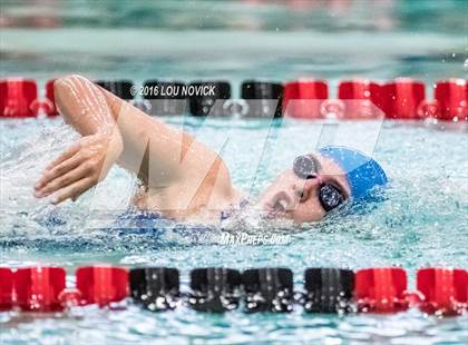 Thumbnail 3 in Albuquerque Academy Swim Meet  photogallery.
