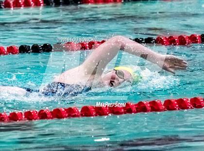 Thumbnail 3 in Albuquerque Academy Swim Meet  photogallery.