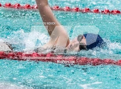 Thumbnail 1 in Albuquerque Academy Swim Meet  photogallery.
