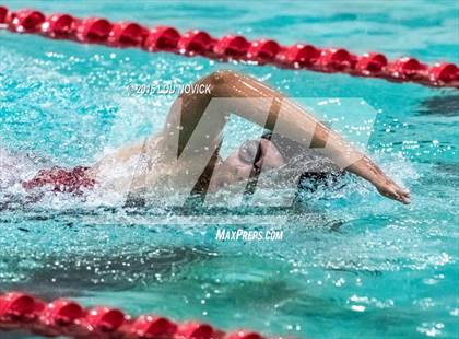 Thumbnail 2 in Albuquerque Academy Swim Meet  photogallery.