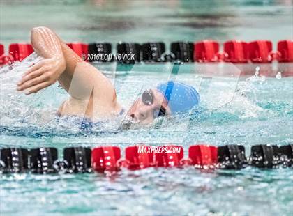 Thumbnail 2 in Albuquerque Academy Swim Meet  photogallery.