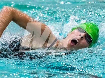 Thumbnail 3 in Albuquerque Academy Swim Meet  photogallery.