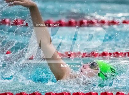 Thumbnail 2 in Albuquerque Academy Swim Meet  photogallery.