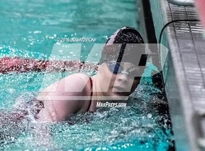 Thumbnail 1 in Albuquerque Academy Swim Meet  photogallery.