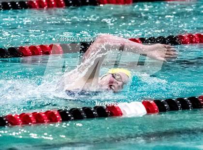 Thumbnail 1 in Albuquerque Academy Swim Meet  photogallery.
