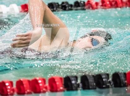 Thumbnail 1 in Albuquerque Academy Swim Meet  photogallery.
