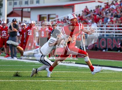 Thumbnail 1 in Lindsay @ Muenster photogallery.