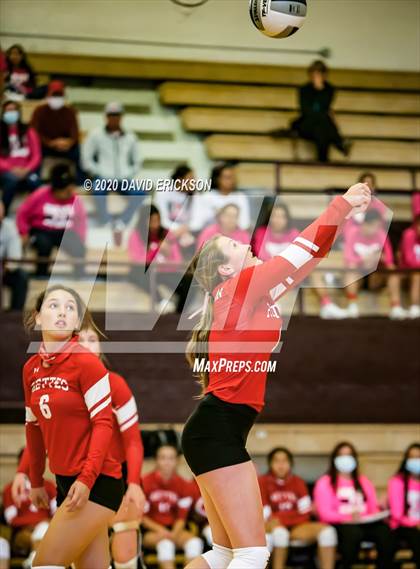 Thumbnail 3 in Perryton @ Hereford photogallery.