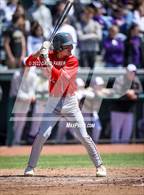 Photo from the gallery "Bishop Guilfoyle @ Central "