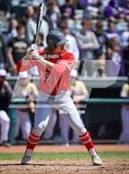 Photo from the gallery "Bishop Guilfoyle @ Central "