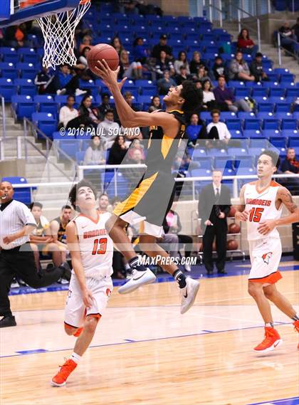 Thumbnail 2 in Brennan @ Brandeis photogallery.