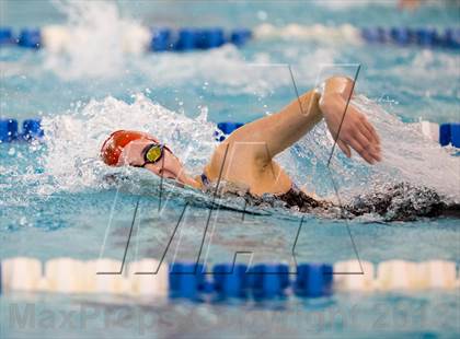 Thumbnail 2 in NYSPHSAA Girls Swimming Finals photogallery.