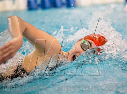 Thumbnail 2 in NYSPHSAA Girls Swimming Finals photogallery.
