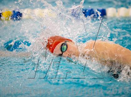 Thumbnail 1 in NYSPHSAA Girls Swimming Finals photogallery.
