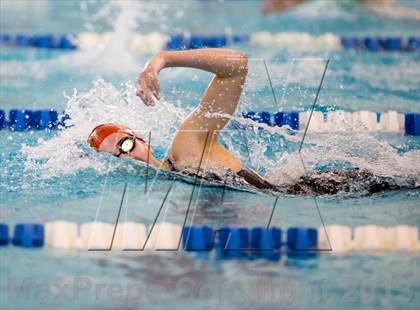 Thumbnail 3 in NYSPHSAA Girls Swimming Finals photogallery.