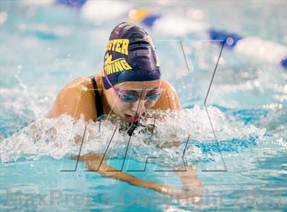 Thumbnail 1 in NYSPHSAA Girls Swimming Finals photogallery.