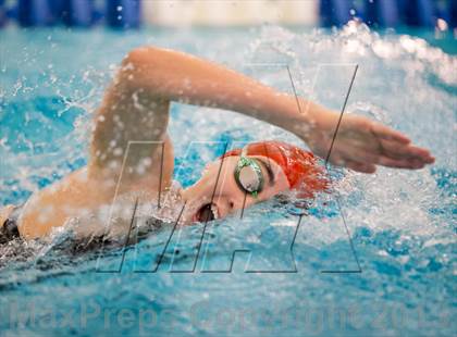 Thumbnail 3 in NYSPHSAA Girls Swimming Finals photogallery.