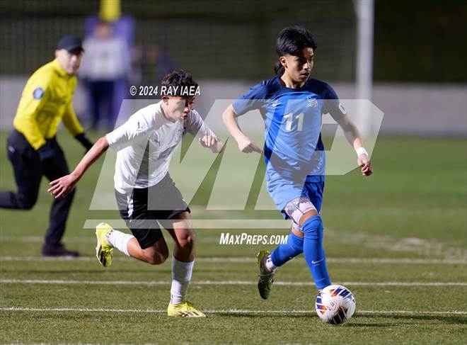 null - Photo 41