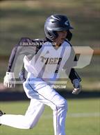 Photo from the gallery "Jordan @ Chapel Hill"