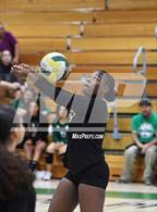 Photo from the gallery "Eastside @ Palmdale"