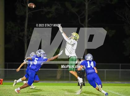 Thumbnail 2 in George Jenkins @ DeSoto County photogallery.