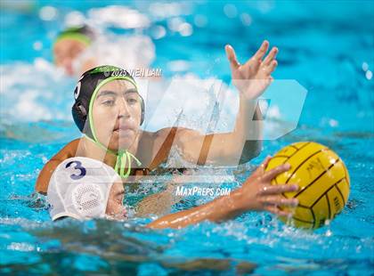 Thumbnail 3 in Archie Williams vs. Marin Catholic photogallery.