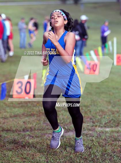 Thumbnail 2 in Onslow County Cross Country Meet photogallery.