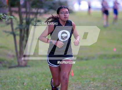 Thumbnail 1 in Onslow County Cross Country Meet photogallery.