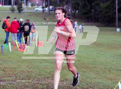 Thumbnail 1 in Onslow County Cross Country Meet photogallery.