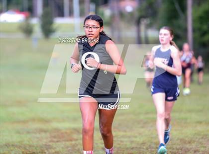 Thumbnail 1 in Onslow County Cross Country Meet photogallery.