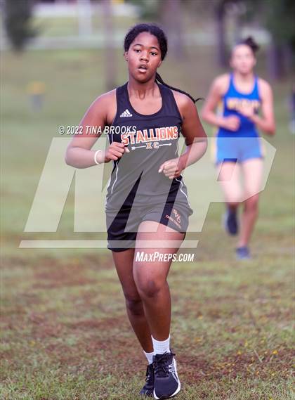 Thumbnail 2 in Onslow County Cross Country Meet photogallery.