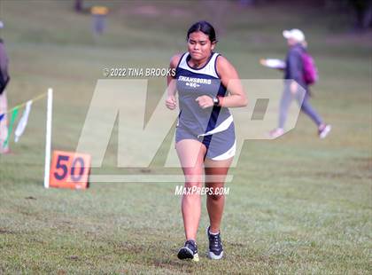 Thumbnail 2 in Onslow County Cross Country Meet photogallery.