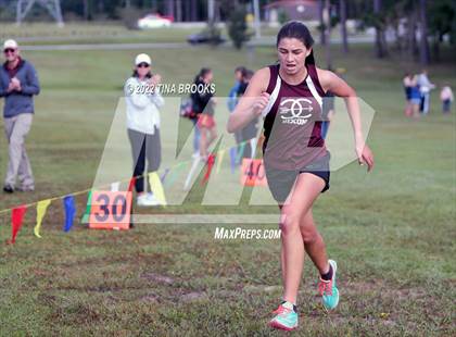 Thumbnail 3 in Onslow County Cross Country Meet photogallery.