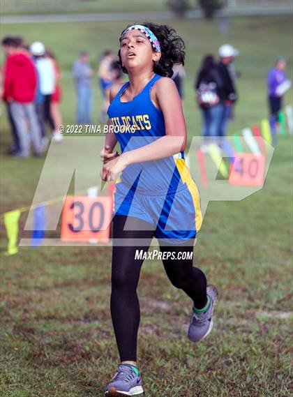 Thumbnail 3 in Onslow County Cross Country Meet photogallery.