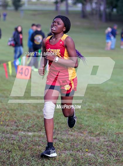 Thumbnail 1 in Onslow County Cross Country Meet photogallery.