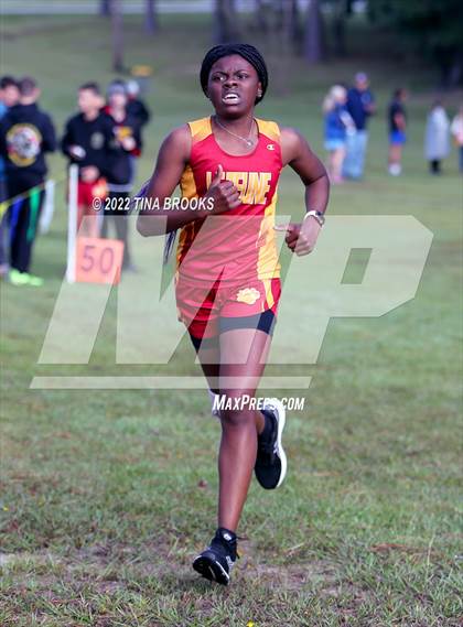 Thumbnail 3 in Onslow County Cross Country Meet photogallery.
