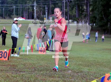 Thumbnail 2 in Onslow County Cross Country Meet photogallery.