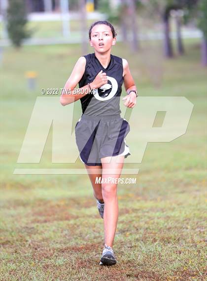 Thumbnail 3 in Onslow County Cross Country Meet photogallery.