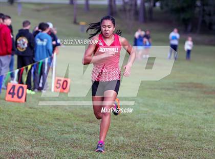 Thumbnail 2 in Onslow County Cross Country Meet photogallery.