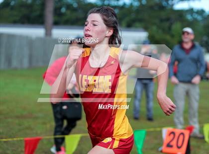 Thumbnail 2 in Onslow County Cross Country Meet photogallery.