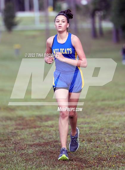 Thumbnail 3 in Onslow County Cross Country Meet photogallery.