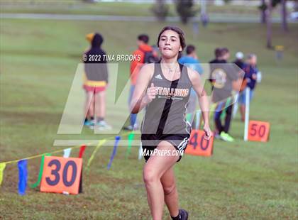 Thumbnail 3 in Onslow County Cross Country Meet photogallery.