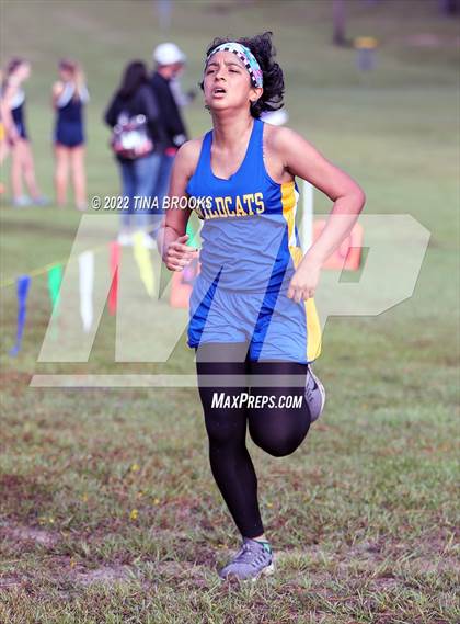 Thumbnail 1 in Onslow County Cross Country Meet photogallery.