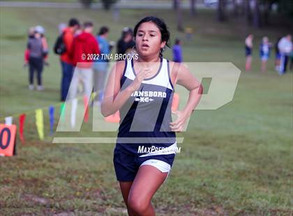 Thumbnail 2 in Onslow County Cross Country Meet photogallery.
