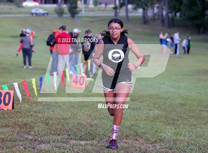 Thumbnail 2 in Onslow County Cross Country Meet photogallery.