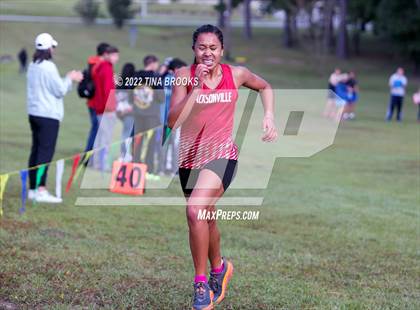 Thumbnail 3 in Onslow County Cross Country Meet photogallery.