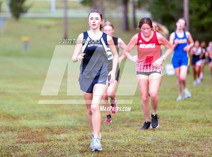 Thumbnail 2 in Onslow County Cross Country Meet photogallery.