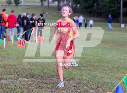 Thumbnail 3 in Onslow County Cross Country Meet photogallery.